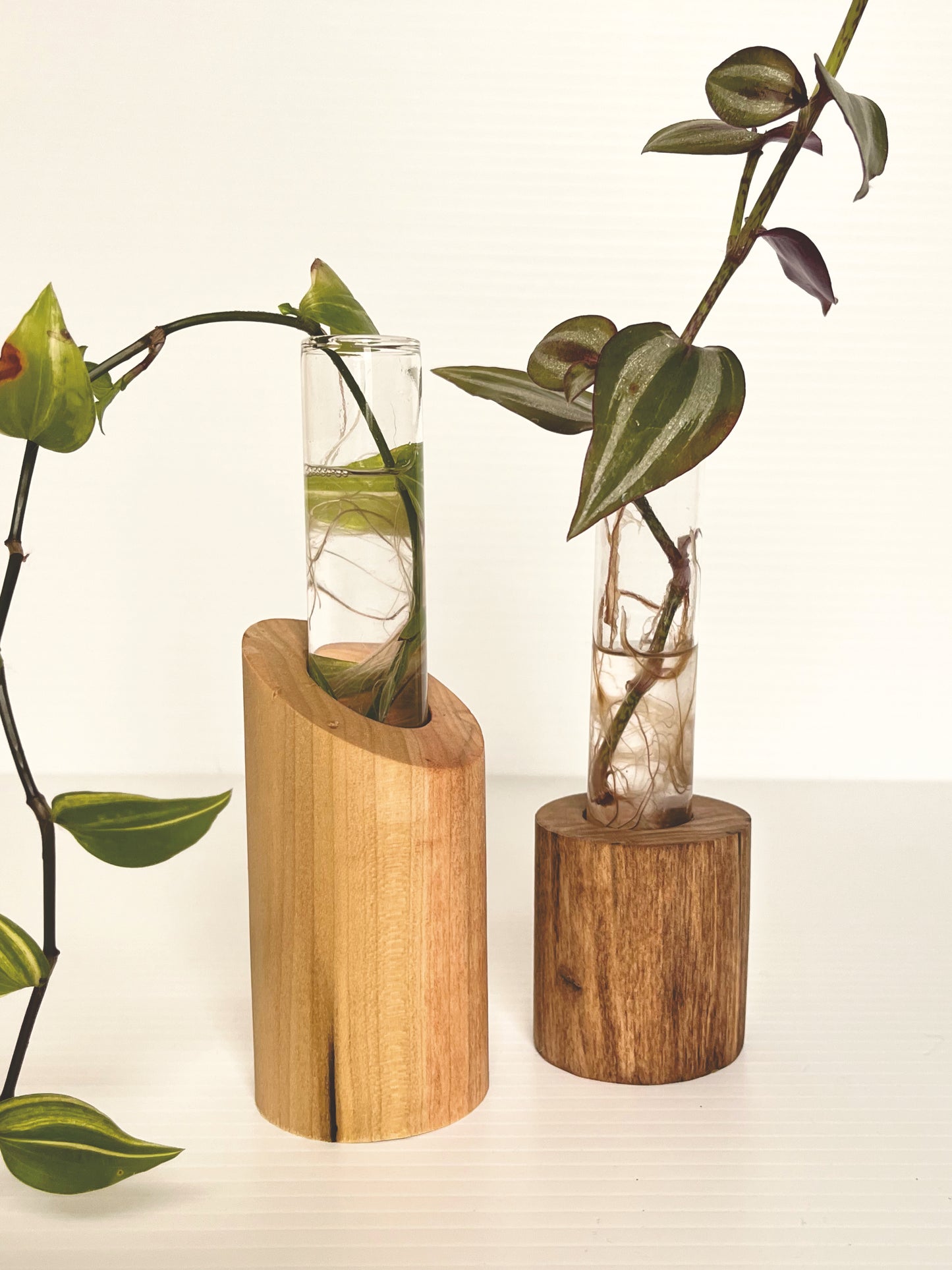 Test Tube Vase, Propagation Vase