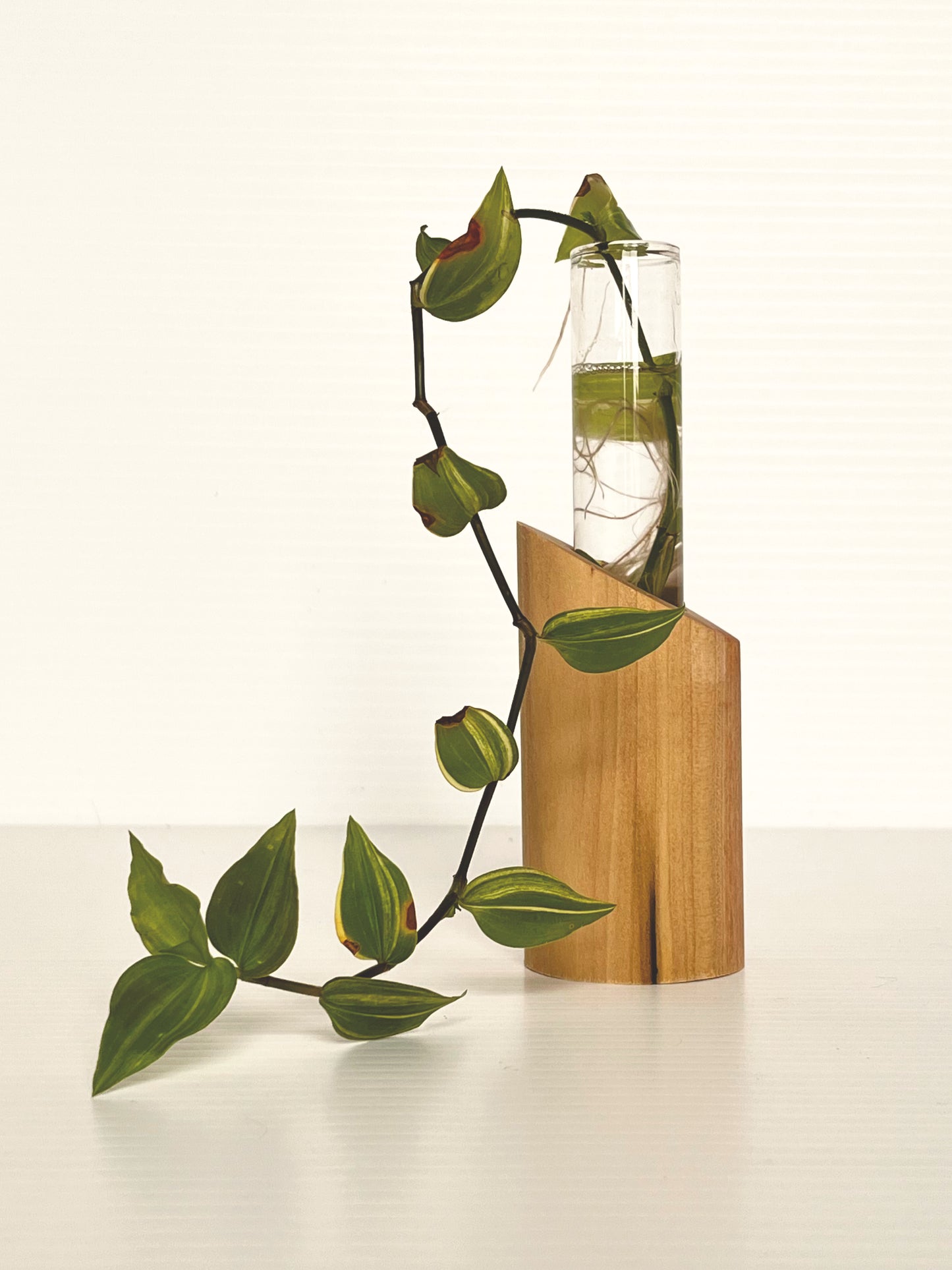 Test Tube Vase, Propagation Vase